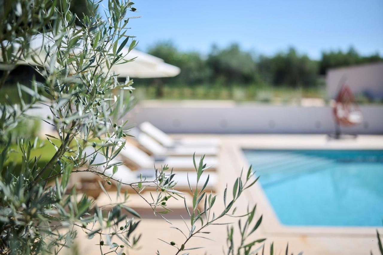 Villa Pura Vida Materada Екстер'єр фото
